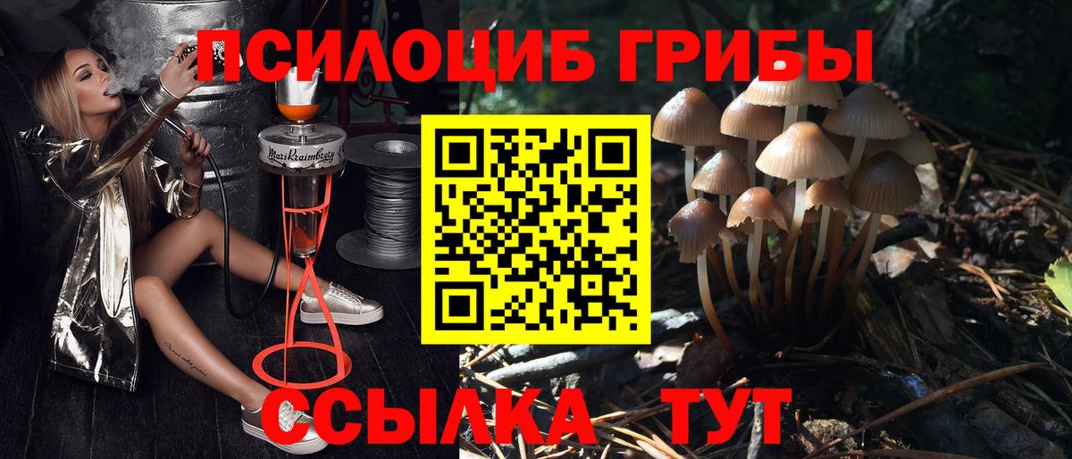Лабытнанги  Псилоцибиновые грибы ЛСД  Вход с VPN 